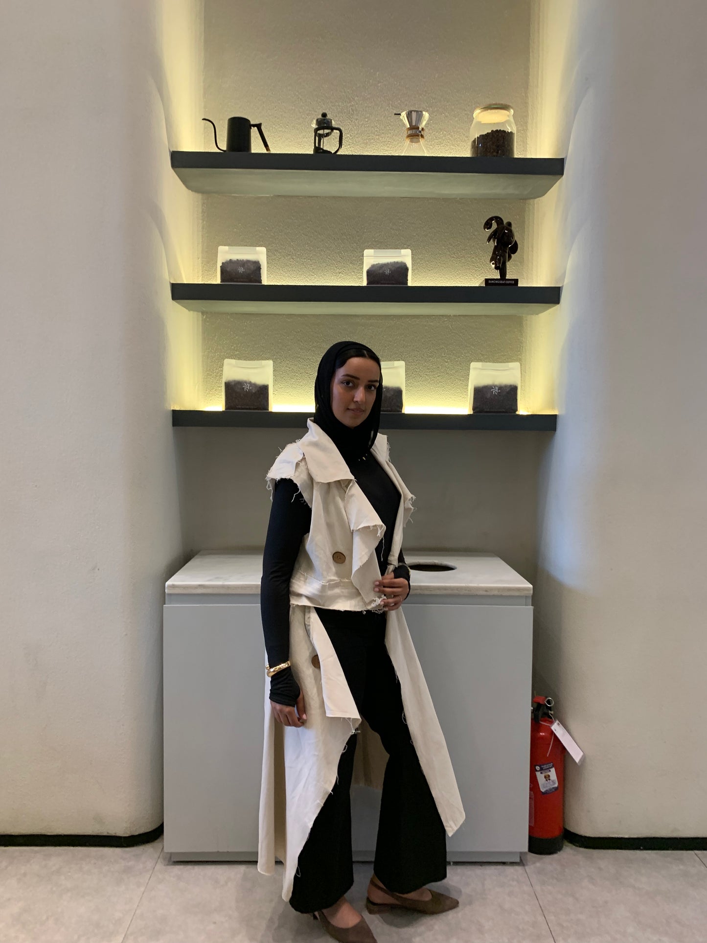 Modular vest